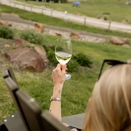 Sawtooth at Basque Block Wine Festival