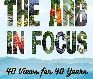 The Arb in Focus: 40 Views for 40 Years