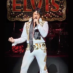Anthony Shore: Elvis In Concert