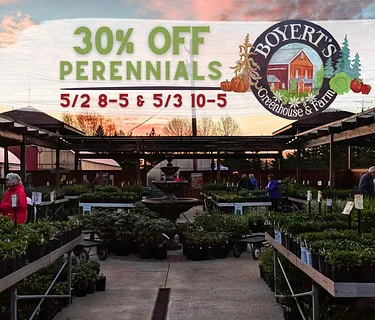 30% off Perennial Sale
