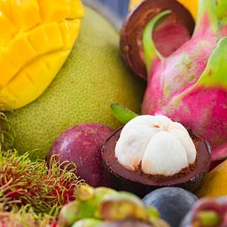 Botany for Botanical Illustration: Tropical Fruits