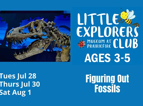 Little Explorer’s Club: Figuring Out Fossils