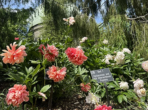 In-Person May Highlights Tour