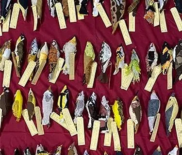 Bird Collisions in the Anthropocene