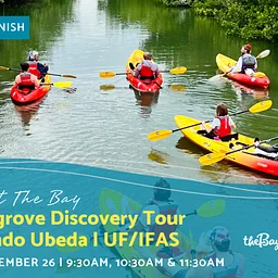 Kayak Mangrove Discovery Tour with Armando Ubeda | UF/IFAS (Presented in Spanish)