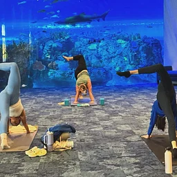 Mote SEA Yoga Flow