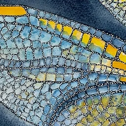 Ronna Traylor: Dragonfly Wings: The Beauty of Fractured Planes