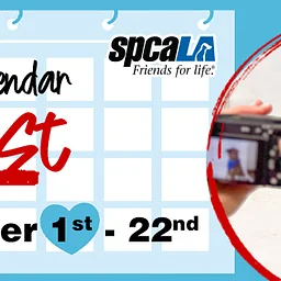 spcaLA 2027 Pet Calendar Contest
