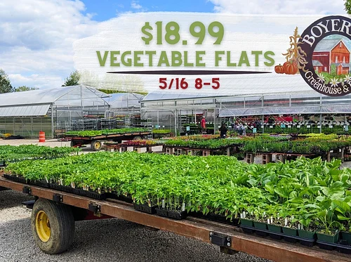 Vegetable Flats Sale