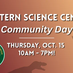 20th Anniversary Community Day