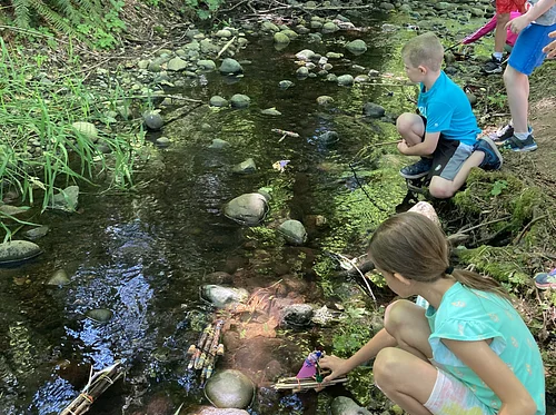 Farm Open Day: STEAM Explorations!