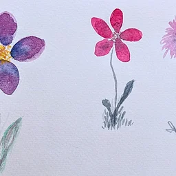 W-PT801 Watercolor Garden With Margot Griffin