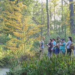 Second Saturday Bird Survey