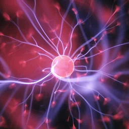 Tuesday Science On Tap – FREE