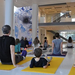 The Art of Yoga | Summer-Fall Series 2026