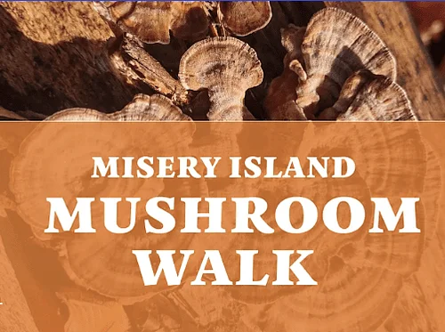 Misery Island Mushroom Walk