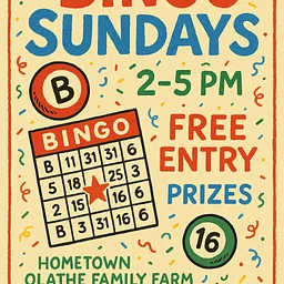 Bingo Sundays!