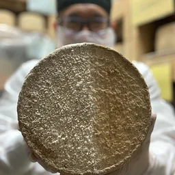 Advanced Milled Curd Harvest Day (for 1/17/27 Class)