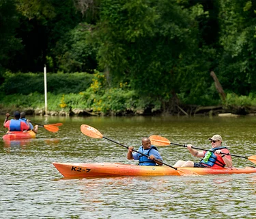 Evening Kayak Tour