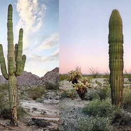 Mark Klett: Desert Citizens