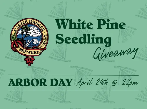 White Pine Seedling Giveaway