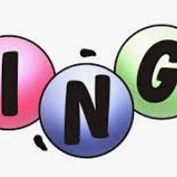 Bingo Night