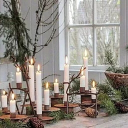 Rooted in Wellness: Eco-Friendly Holidays