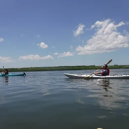 Kayak the Salt Marsh