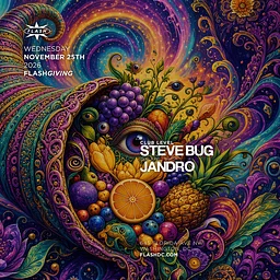 FlashGiving: Steve Bug