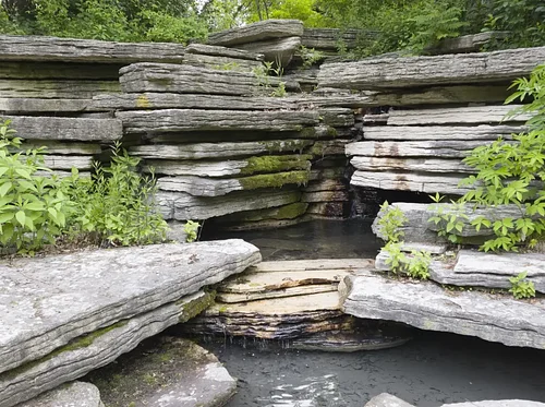 Alfred Caldwell Lily Pool – Opening Day