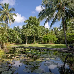 Sound Meditation in the Garden