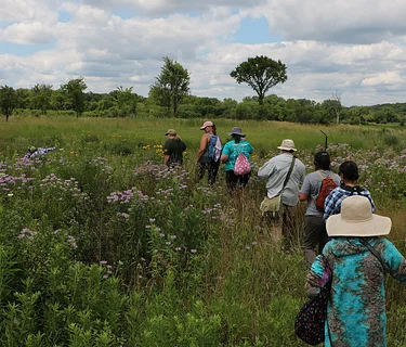 The Science of Clouds