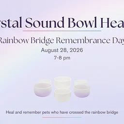 Crystal Sound Bath with Cats: Rainbow Bridge Remembrance Day