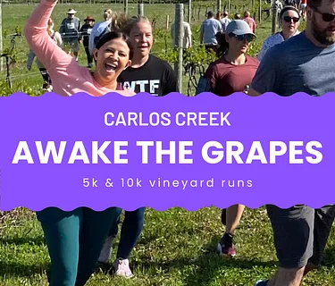 2026 Awake the Grapes 5k and 10k vineyard run
