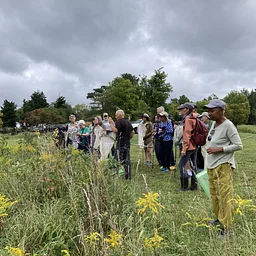 Wednesday Walk: Bug “Safari” at Summer’s End