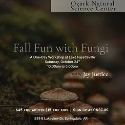 Fall Fun with Fungi