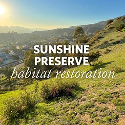 Sunshine Preserve Habitat Restoration