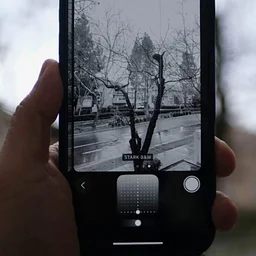 Phone Photography