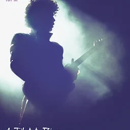 Prince Tribute