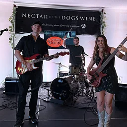 COUNTRY MUSIC FRIDAYS: Featuring Country Vision Band