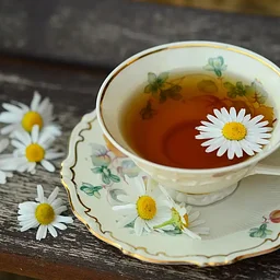 Holiday Tea Blending Workshop