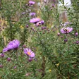 Aldo Leopold Nature Center