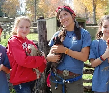 Junior Curator: Summer Session 1