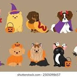 Wiggle Waggle Ween