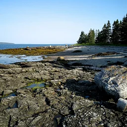 Volunteer Workday: Harriman Point