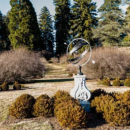 Director’s Garden & Estate Walk: Conifers