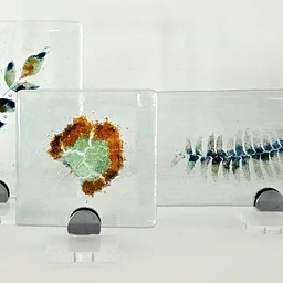 Vitra Fossils Workshop with LC & Tommy Tobey
