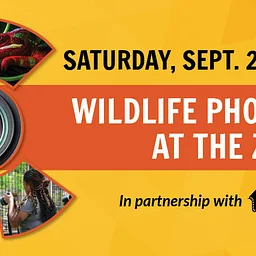 Wildlife Photography (Fall 2026)