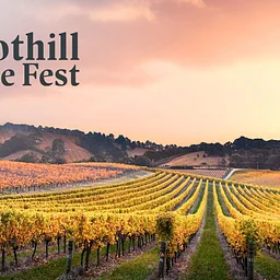 CMR in the Wild | Foothill Wine Fest