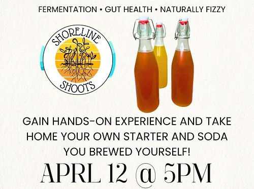 Probiotic Soda Brewing Workshop (Ginger Bug 101)
